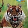 ТЕФТЕРЧЕ CENTRUM A6 105/148 МК СП. 60Л